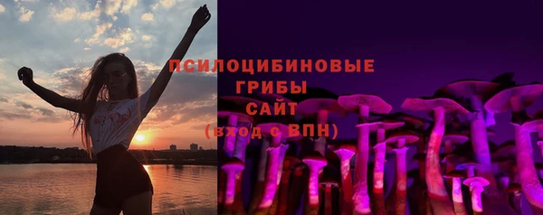 твердый Алзамай