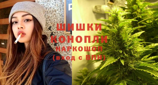 твердый Алзамай