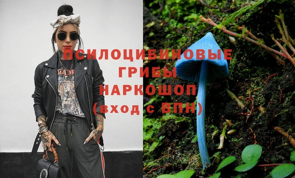 твердый Алзамай